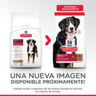 Hill's Science Plan Adult Large Cordero pienso para perros, , large image number null